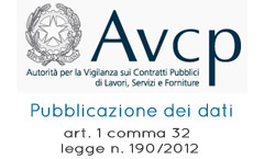avcp-buseto-palizzolo